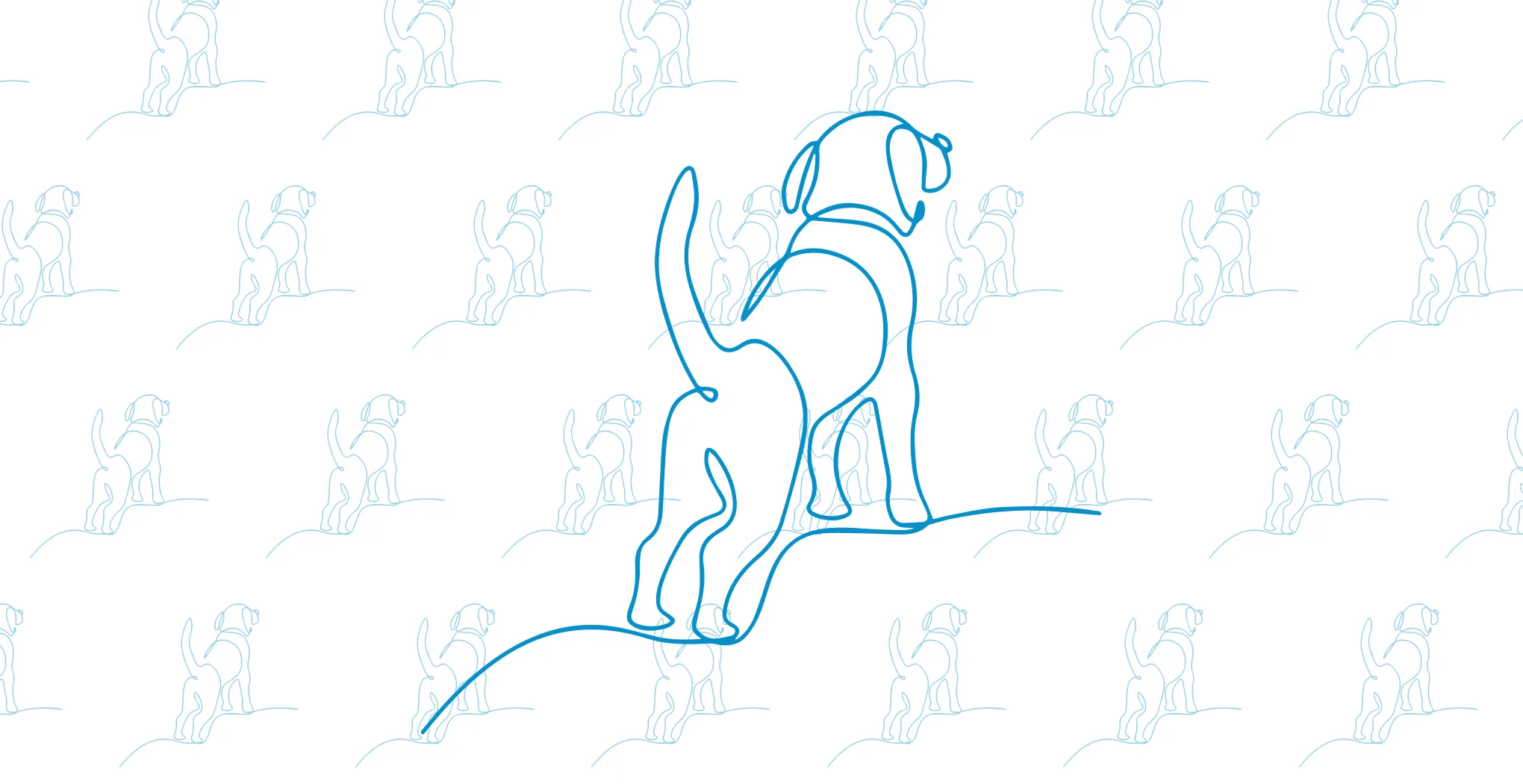 You Don't Need a UX Degree to Gather Meaningful Feedback